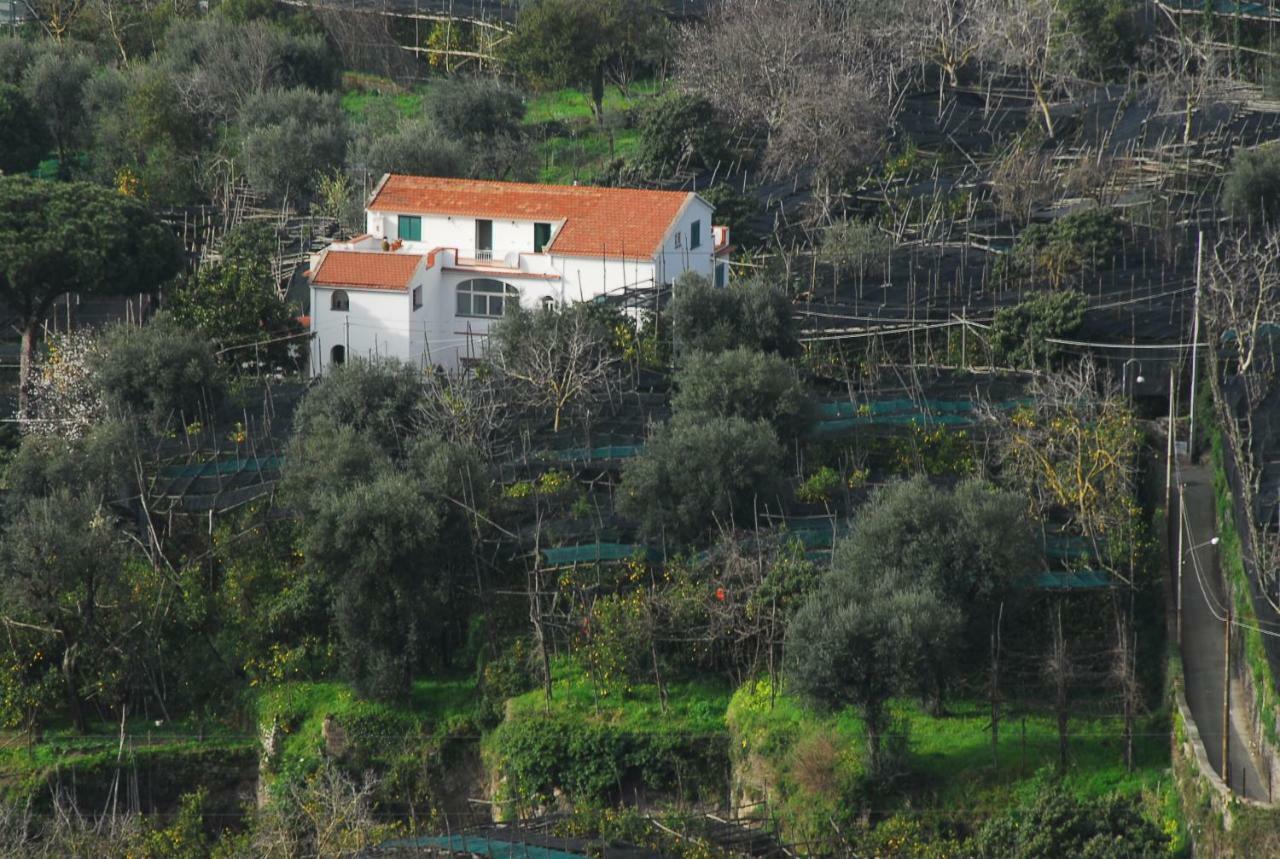 Azienda Agricola Veniero Piano di Sorrento Exterior foto